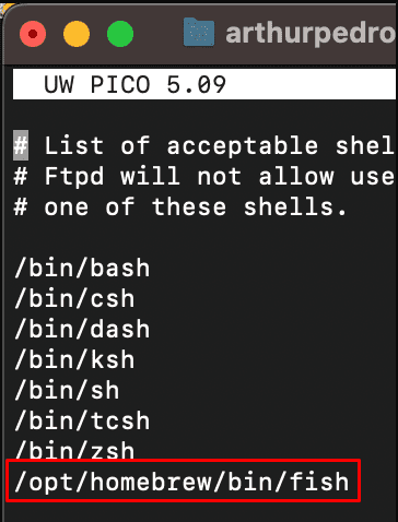 The last line of the file with the path on terminal